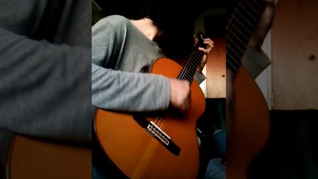 GUAYMALLÉN (Cueca) /ABEL FLEURY
