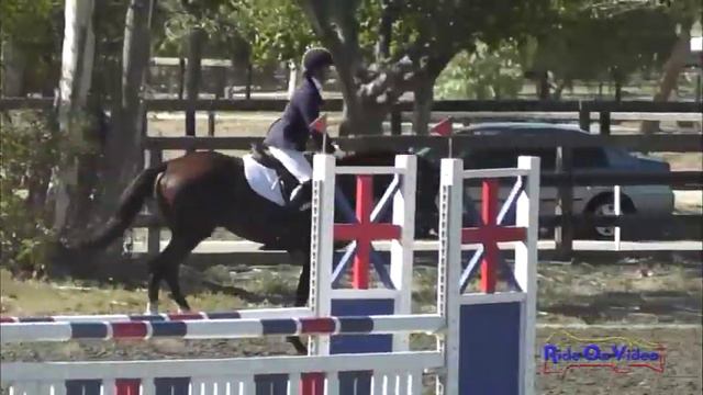245S Taren Atkinson Open Training Show Jumping Galway Downs International HT Nov. 2013