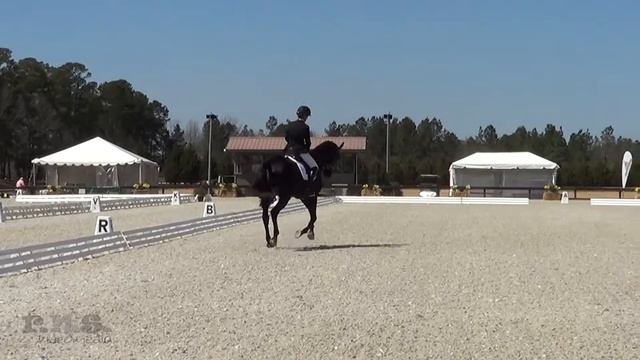 Mia Braundel & Cashmere At Carolina International CIC & Horse Trials 2018