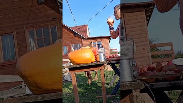 Урожай 2024 🎃