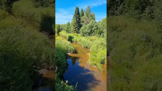 Поездка на мотоцикле в починок Сухановское