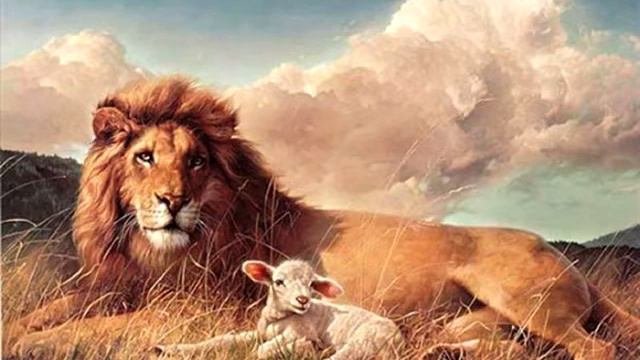 David Nevue - The Lion And The Lamb