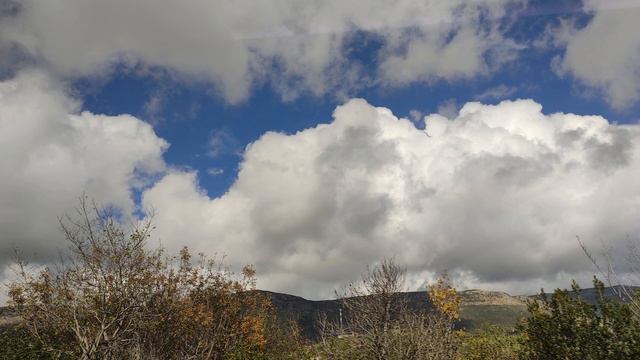 15 швата 5784 — 24 января 2024. Ночной урок Зоар с равом Цви Элазар Давид Нисанзон