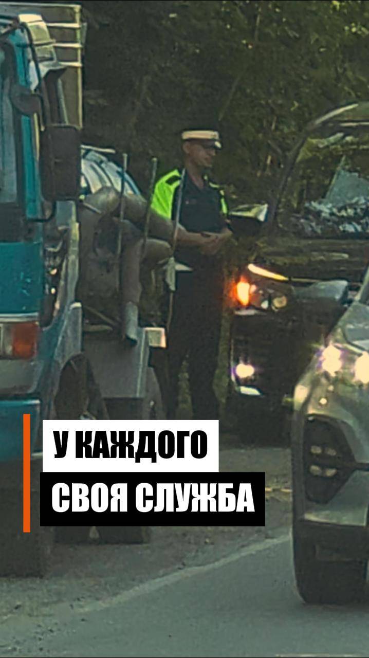 У каждого своя служба