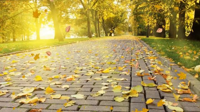 Karina - Не Больно (новинка 2019)