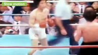 Antonio Avelar vs Shoji Oguma, Widescreen Knockout Boxing Match Highlights & Slow motion Japan 1981