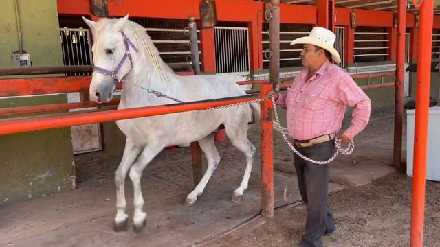 Don Pedro López