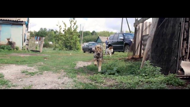 Кара бала