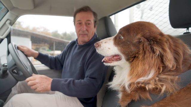 Bear the Border Collie - Safety Smart Dog - Told by Alan