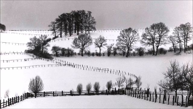 Vasile Herman (1929-2010): Concerto for string orchestra (1978)