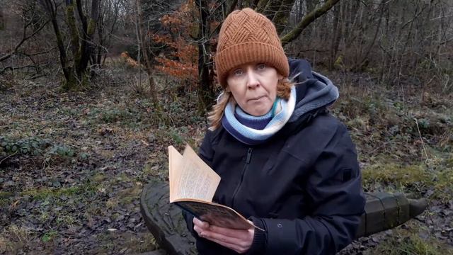 Jeremiah In The Dark Woods By Janet And Allan Ahlberg - Chapter One
