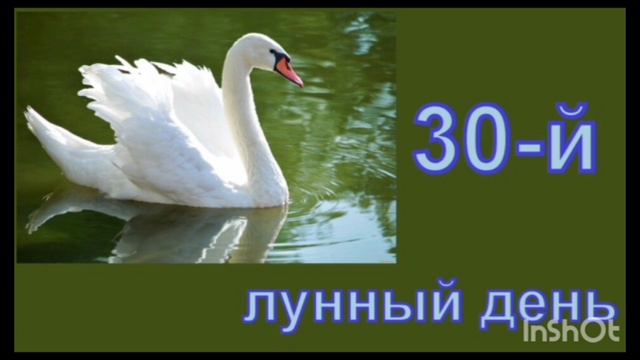 30 Лунный день