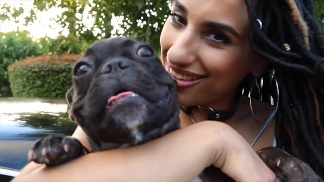 Nikki Blush & Frenchy @ Rogue Kennels