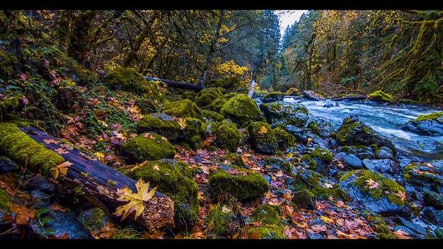 Autumn leaves , { when October goes } by Nancy LaMott