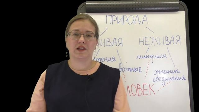 КираСычева. лекция. 06. Окружающий мир