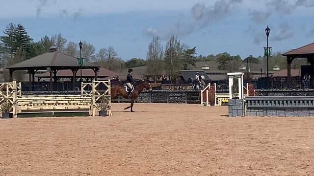 Nikolas - Junior Hunters