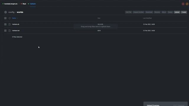 How to UploadImport a Valheim World to a Dedicated Server - Server.pro