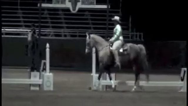 CFF Strictly Byzness - Cowboy Dressage Freestyle