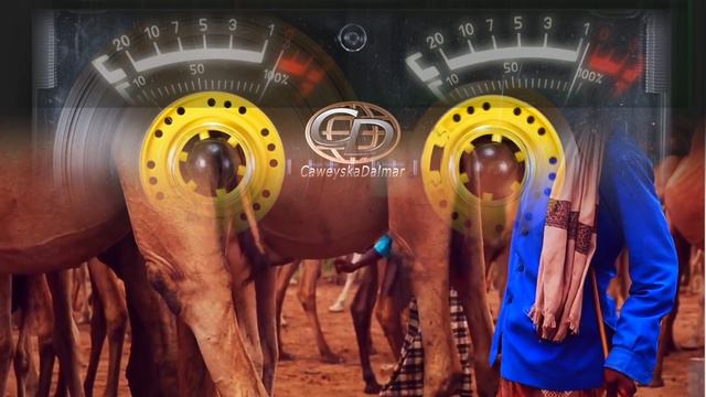 Faarax Guuleed iyo Khadija Qalanjo  |  Geenyadii Bureeqaay