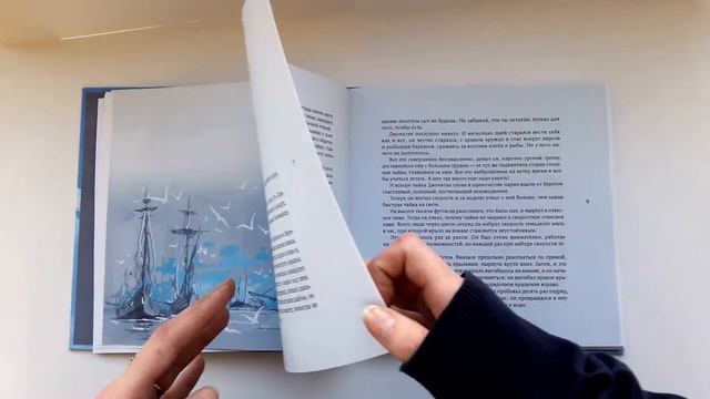 Ричард Бах. Чайка Джонатан Ливингстон