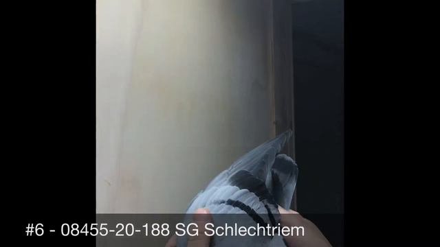 #6 - 08455-20-188 SG Schlechtriem
