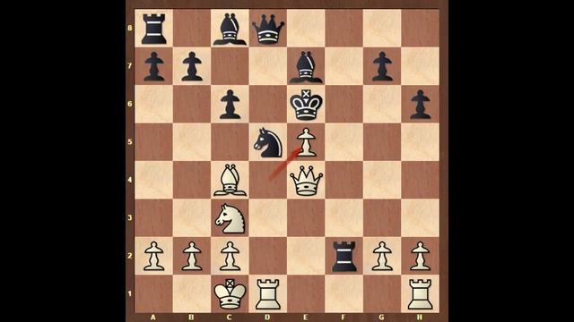 Giulio C. Polerio vs Domenico (Aggressive Fried Liver Attack) - Rome (1610)