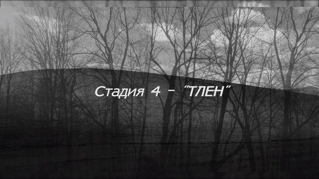 Вставка Стадия 4 тлен Пётр Гланц
