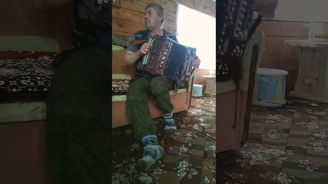 "Барыня" на гармошке