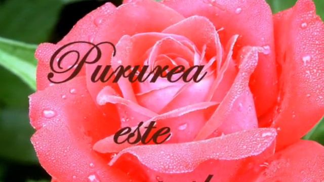 PE-AL MEU GAND...