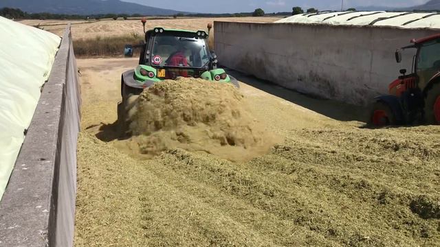Trinciatura Torrecchia Nuova