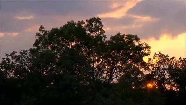Petra Marklund & Magnus Carlson    Fix You   HD
