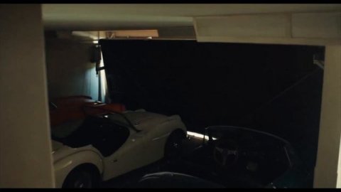 El extraño de pelo largo