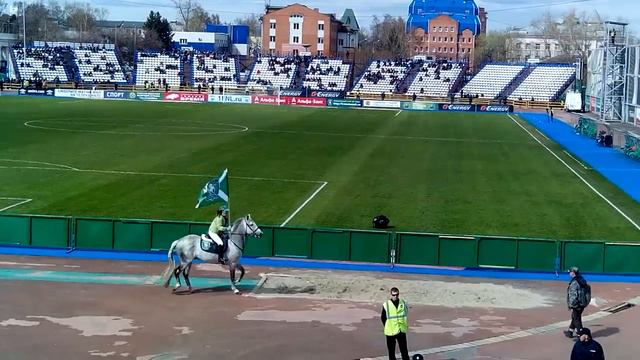 талисман фк-Томь.