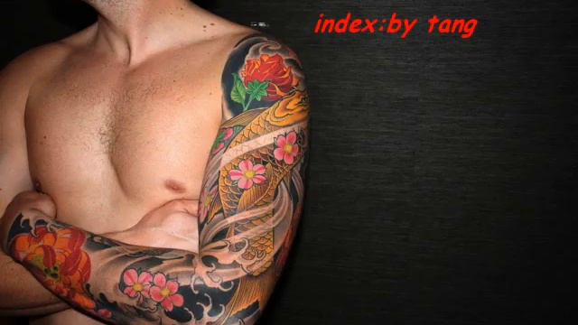Pierre Bouvier    s2