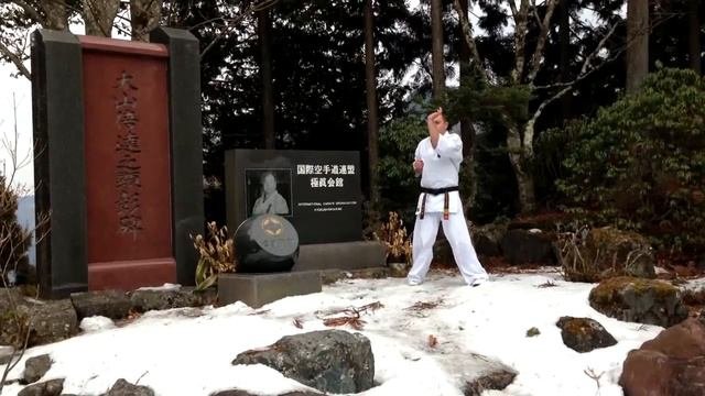 Tensho Kyokushinkai Kata Demonstrated By Andranik Hakobyan