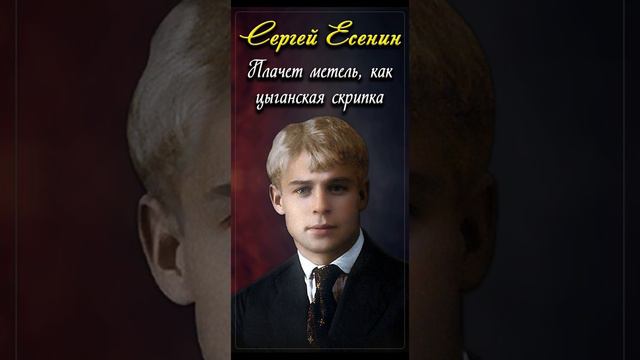 Плачет метель, как цыганская скрипка - Сергей Есенин (читает Игорь Ильин) #shorts