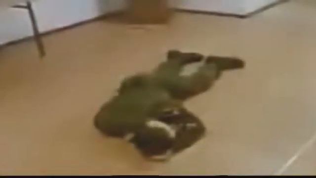 Малько, . Команда спать!)