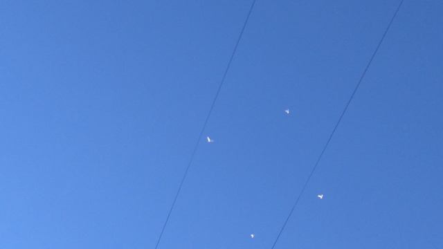1000015532.mp4
