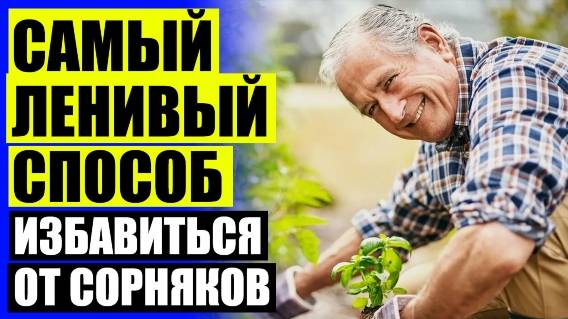 ХИМИЯ ДЛЯ БОРЬБЫ С СОРНЯКАМИ 🚫 ХИМИЯ ДЛЯ БОРЬБЫ С СОРНЯКАМИ