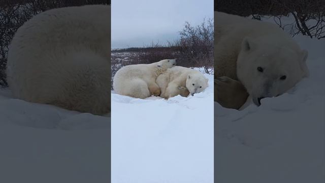 Хорошо и уютно вместе.