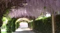 BRESCIA 2017 MERAVIGLIE DAL MONDO