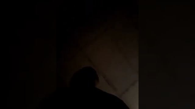 srdjan i mirko parfemi