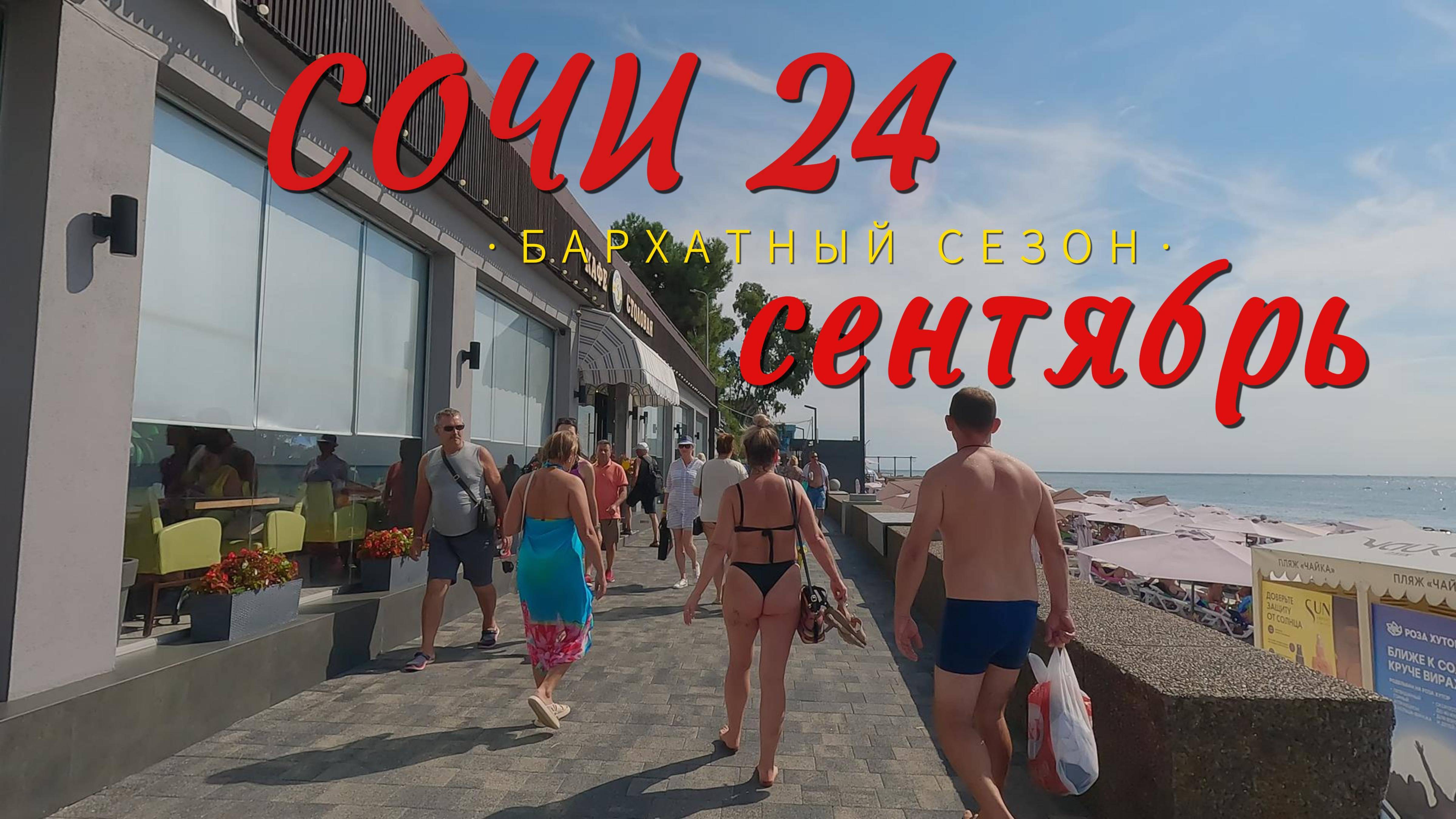 СОЧИ 24 / ТАКОГО БАРХАТНОГО СЕЗОНА Я НЕ ПОМНЮ !!!