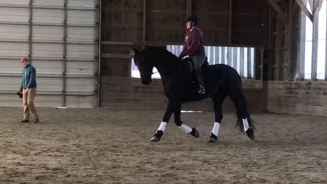 Lesson w Laura Noyes 3/26/17 part 2