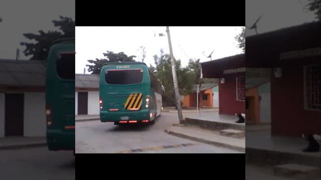 PAJARITO HERIDO Andres Teheran y Oscar Monterroza,  autor : El negro Galindo