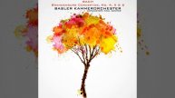 Brandenburg Concerto No. 5 in D Major, BWV 1050: I. Allegro