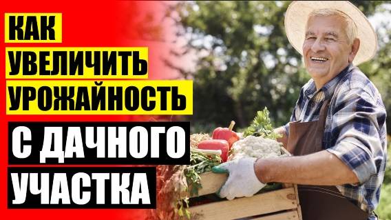 🚫 УВЕЛИЧИТЬ УРОЖАЙ ЛУКА 💣