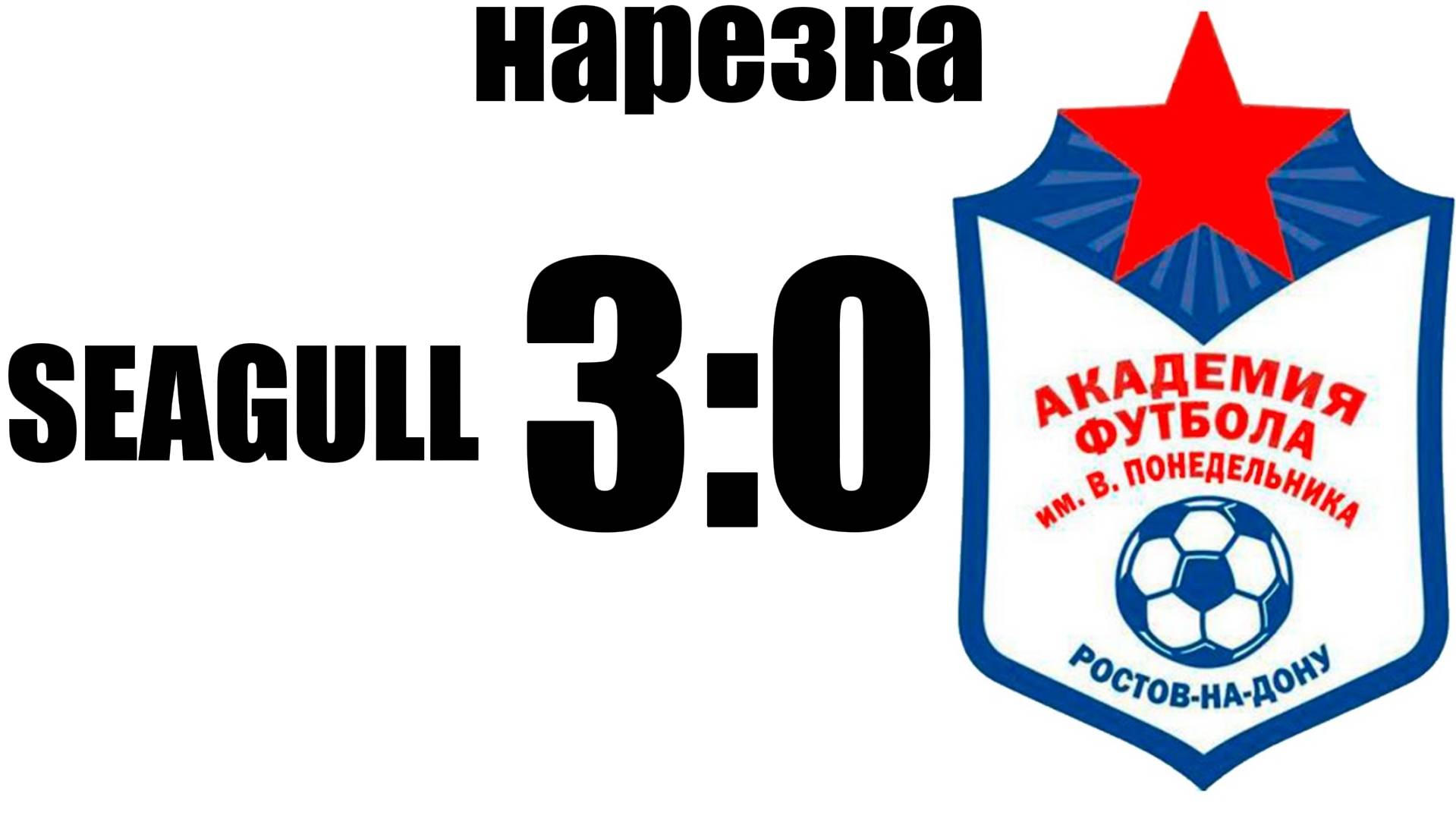 Нарезка SEAGULL 3:0 Академия