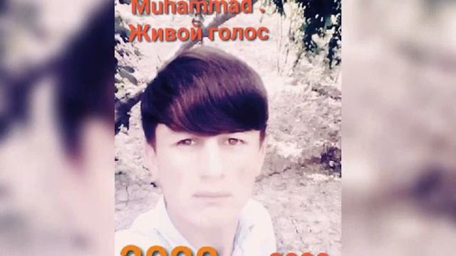 Muhammad ( Бади ть ошик намешам ) 2020