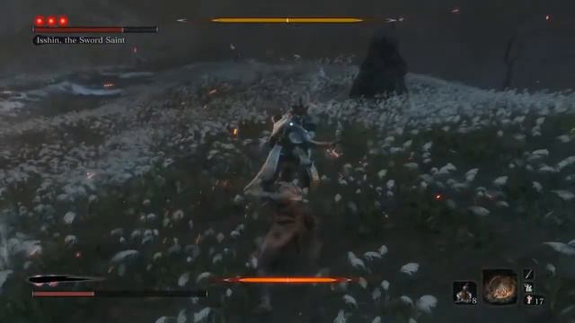 Struggle to Beat Isshin Ashina for the First Time